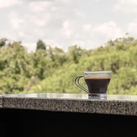 Terrazza Teodorico Lägenhet *