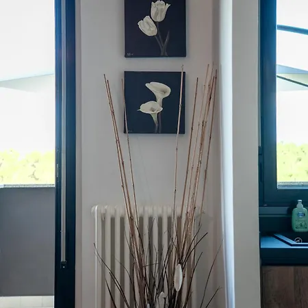 Terrazza Teodorico Lägenhet Ravenna