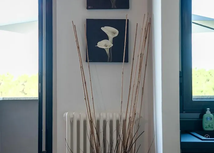 Terrazza Teodorico Apartment Ravenna